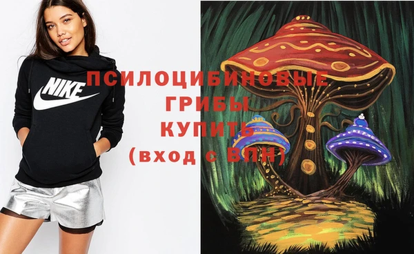 Альфа ПВП Белокуриха