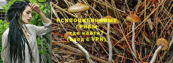 прущая мука Белоозёрский