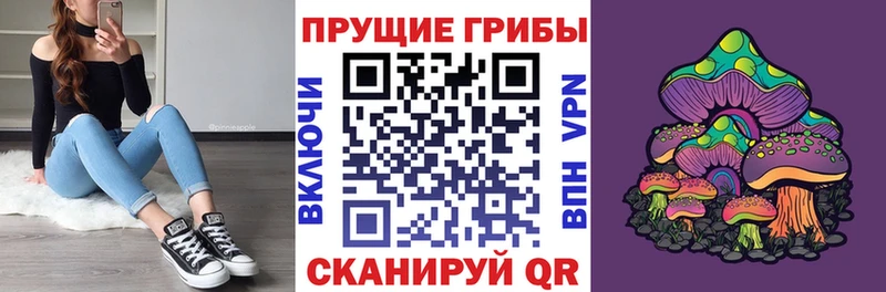 наркотики  Мышкин  маркетплейс какой сайт  Псилоцибиновые грибы ЛСД 
